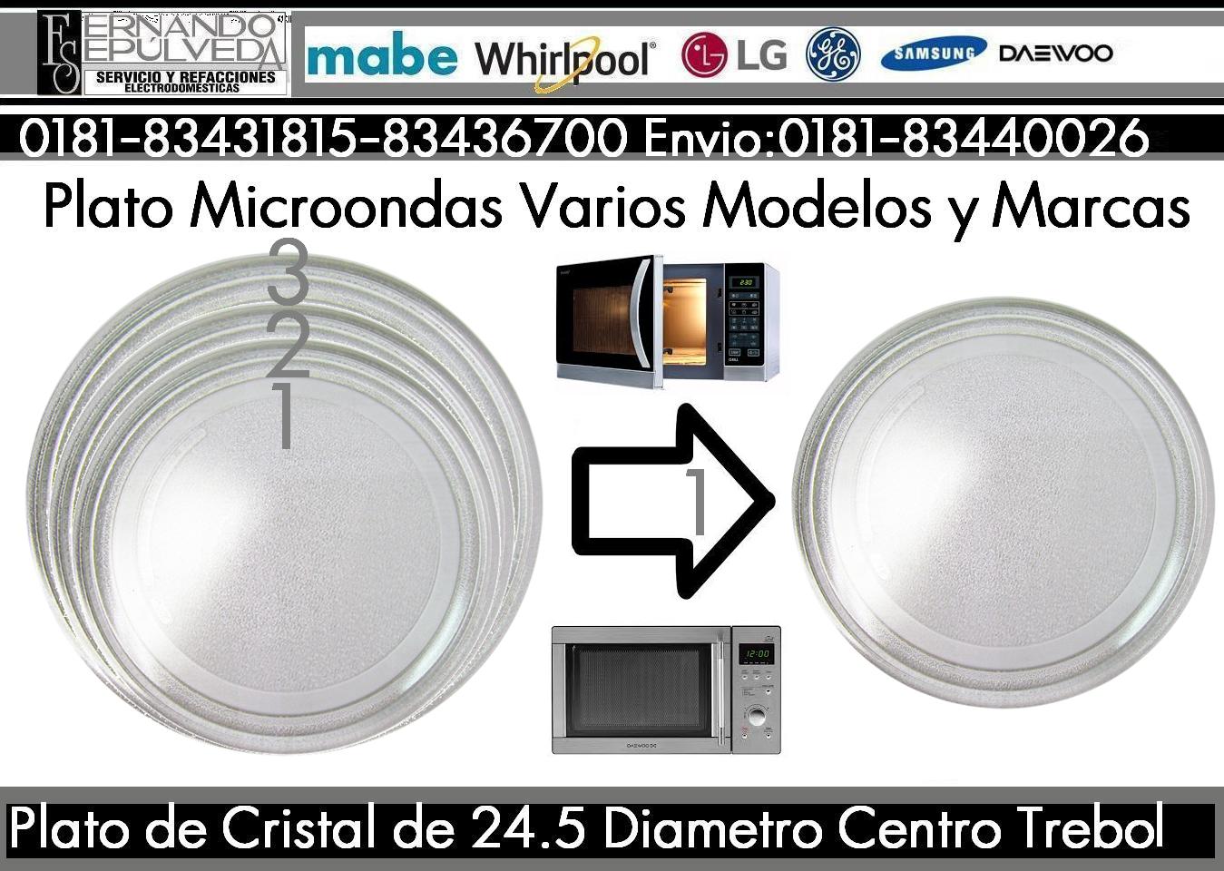 PLATO MICROO CHICO.JPG