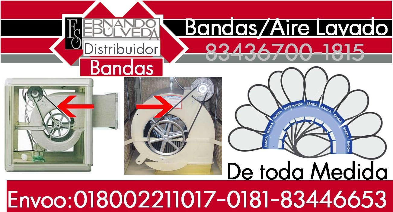 banda todas.JPG