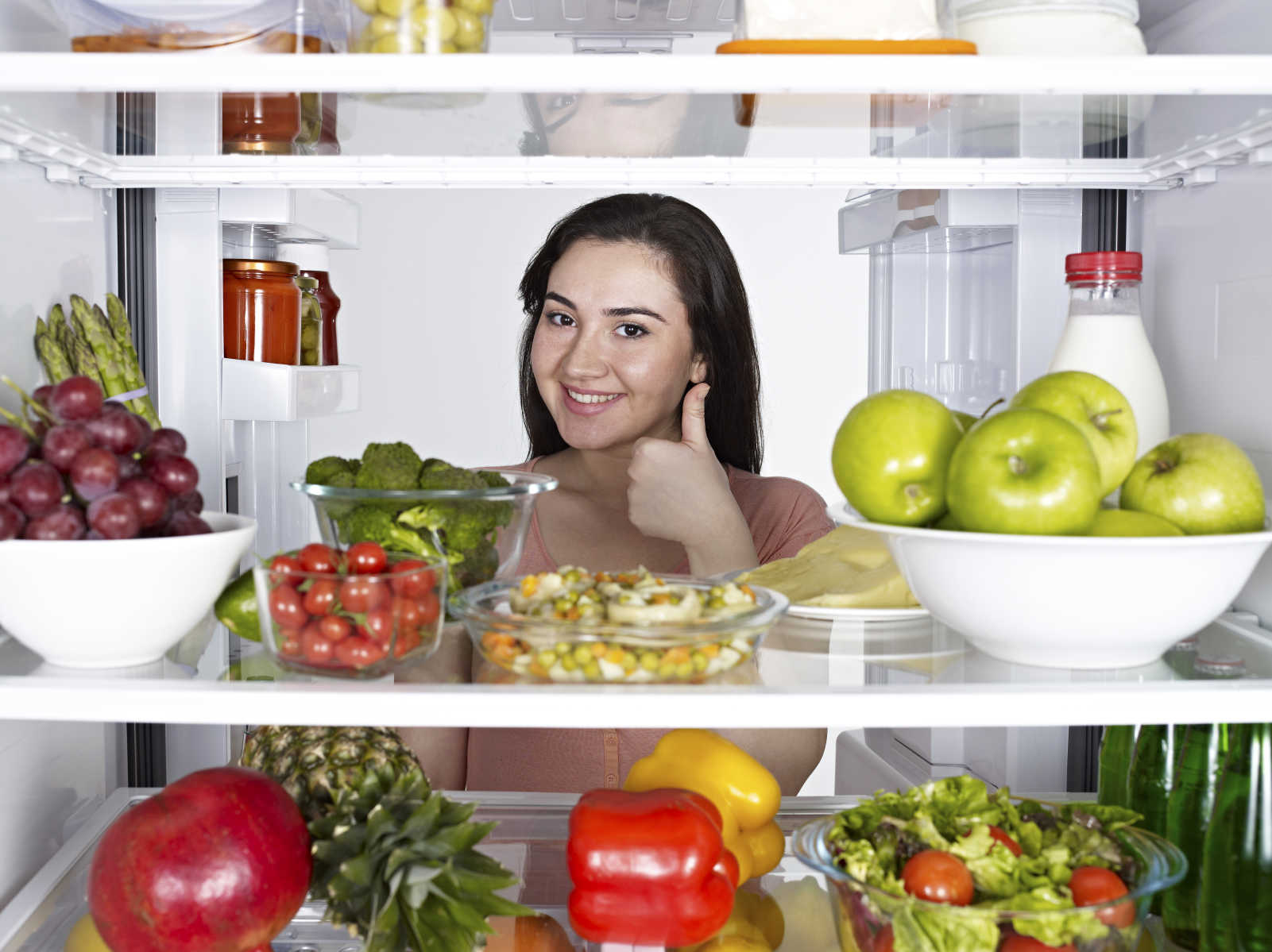 consejos para comprar un refrigerador sucursal san pedro garza 2